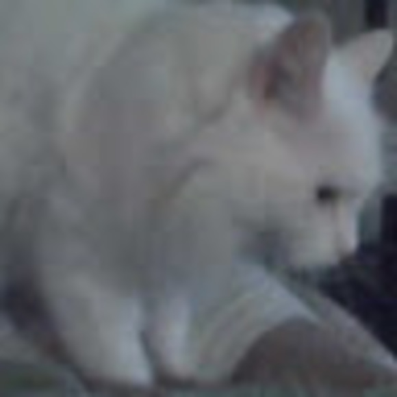 Meet your Posher, greenmarkers - Picture 1 of 1